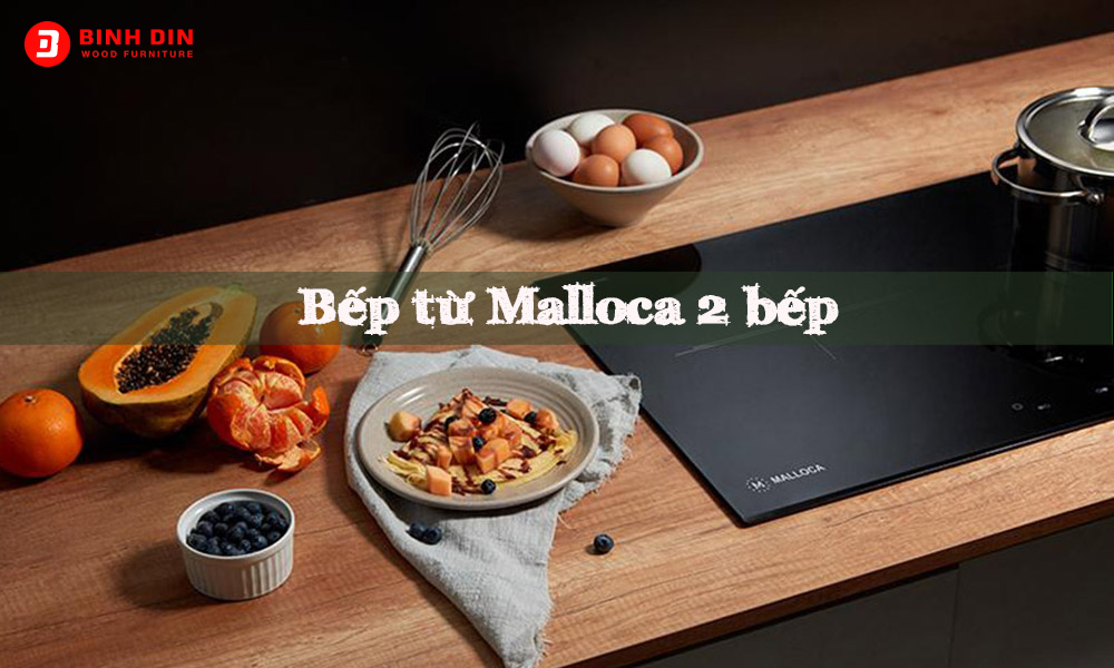 bếp từ Malloca 2 bếp