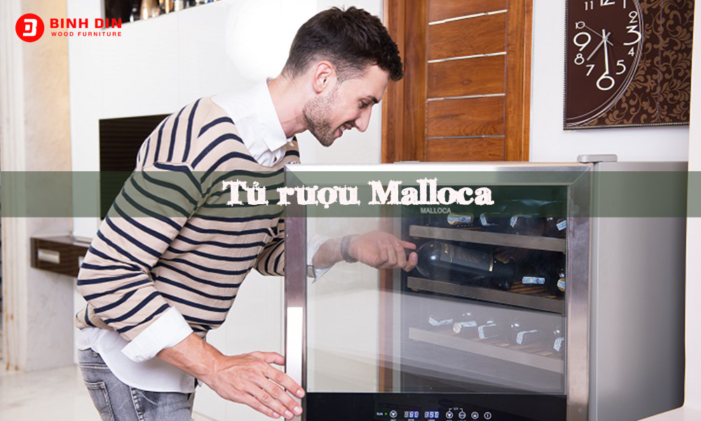 Tủ rượu Malloca - Sản phẩm tủ bảo quản rượu cao cấp Bình Din 1 tu ruou malloca