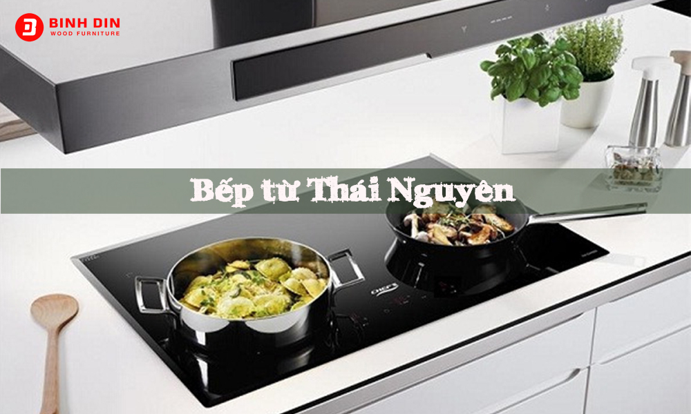 Mua bếp từ, bếp điện từ ở đâu Thái Nguyên đảm bảo chất lượng, tốt nhất? 1 bep tu thai nguyen