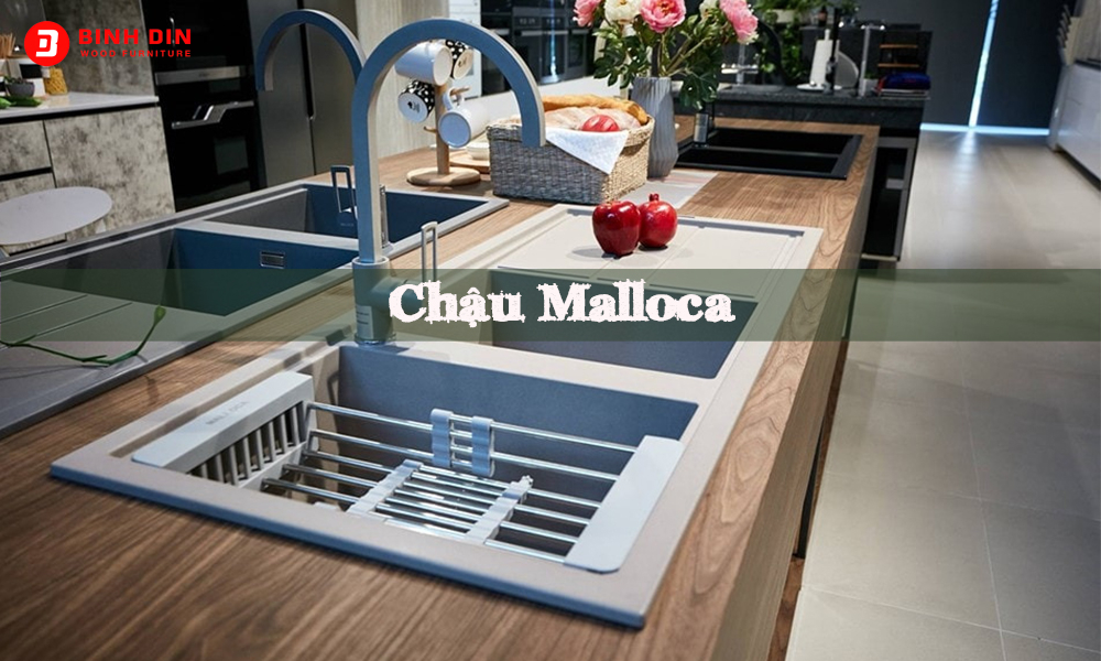 Chậu Malloca có tốt không? Tiết lộ địa chỉ mua chính hãng 1 chau malloca