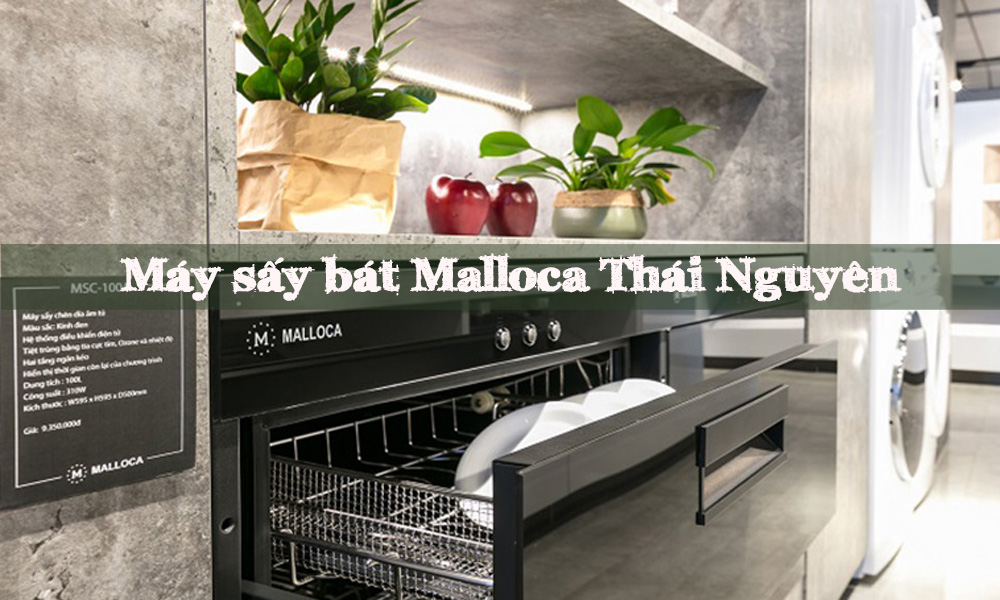 may say bat malloca thai nguyen 1